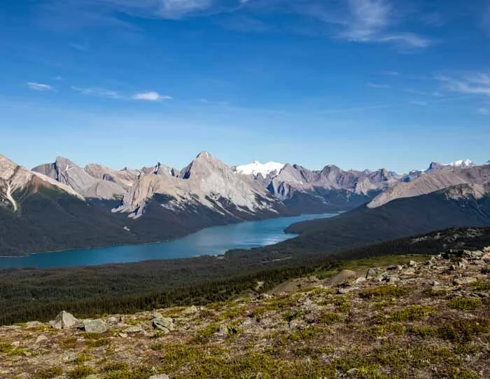 Bald Hills Hike: Jasper's Best Maligne Lake Views for Moderate Effort
